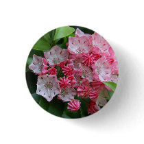 Star Shaped Kalmias buttons
