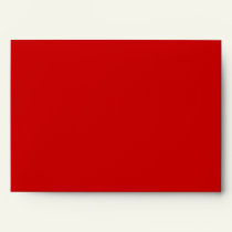 Star Spangled Seasons Greetings Envelope envelopes