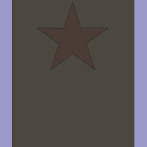 Star Tee t-shirts