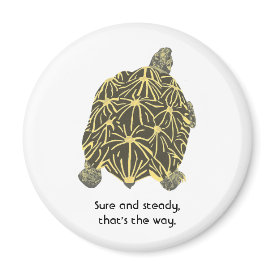 Star tortoise, affirmation art, magnets magnet