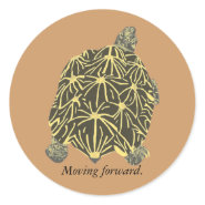 Star Tortoise, painting on affirmation stickers sticker