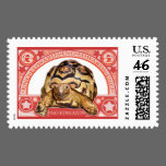 Star Tortoise  postage