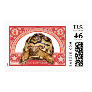 Star Tortoise stamp