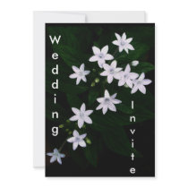 star white, Wedding, Invite invitations by dawnmcininch star white, Wedding, Invite invitations