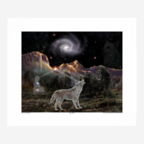 Star Wolf