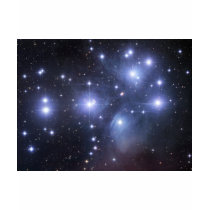 Stara pleiades_gendler_big t-shirts