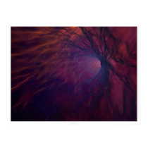 Starbirth posters