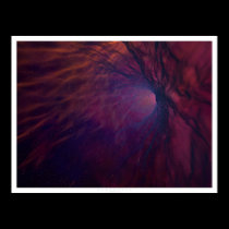 Starbirth posters