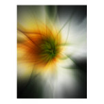 Starburst Abstract Poster posters