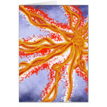 Starburst cards