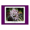 Starburst Card by SherryHolderHunt Starburst Card