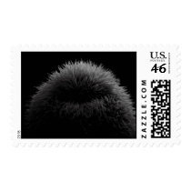 starburst hh stamp
