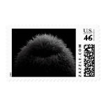 starburst hh stamp