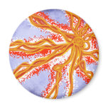 Starburst magnets