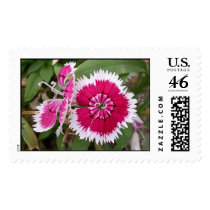 Starburst postage by MeleniePHX Starburst postage