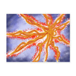 Starburst postcards