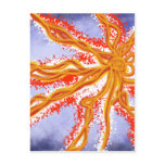 Starburst postcards