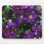 Starburst Purple Clematis Mouse Pads