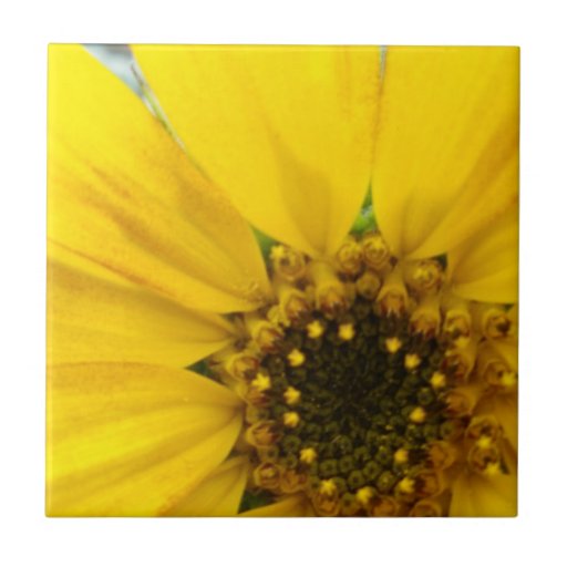 Starburst Sunflower Tile