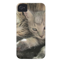 Stardust Kittens iPhone 4 Cover