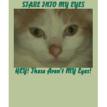 STARE INTO MY EYES 2, shirt