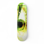 Stare Skate Boards