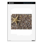 Starfish and seashells iPad 3 decals