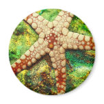 Starfish Aquatic Animal Digital Art -JungleWalk Refrigerator Magnets