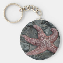StarFish at Oceanside in Tillamook County, Oregon Keychains