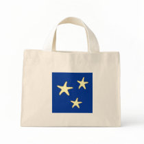 Starfish Bag