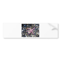 starfish bumper stickers