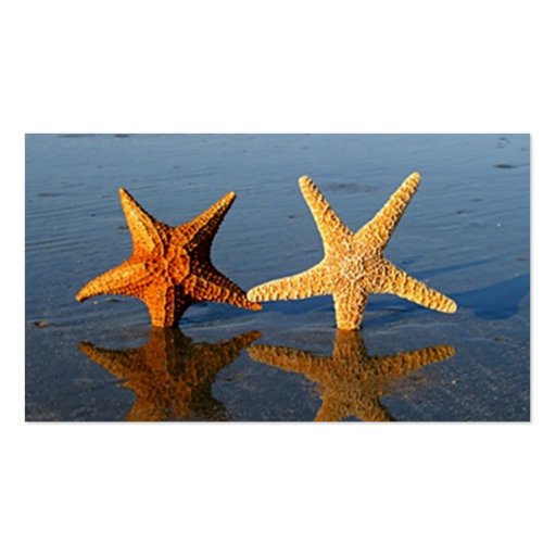 Starfish business cards (back side)