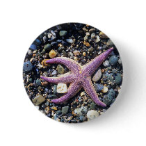 starfish buttons
