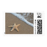 Starfish by the beach postage stamp