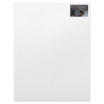 Starfish by the Ocean Customized Letterhead