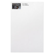 Starfish by the Ocean Stationery Paper
