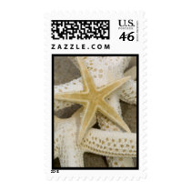 Starfish by the Sea postage by 1nicole Starfish by the Sea postage