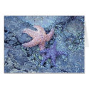 Starfish cards by zazzle4u Starfish cards