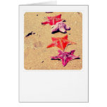 Starfish Card