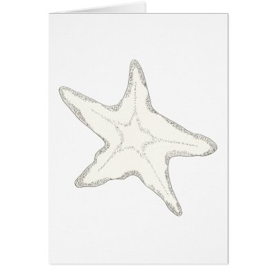 Starfish Cards by ginyhogan