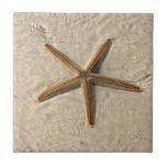 Starfish Ceramic Tile Trivet