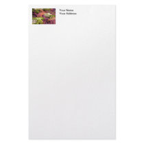 Starfish Closeup Photo Custom Stationery