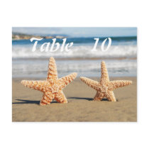 Starfish Couple on the Beach Table Numbers Postcard