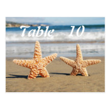 Starfish Couple on the Beach Table Numbers Postcard