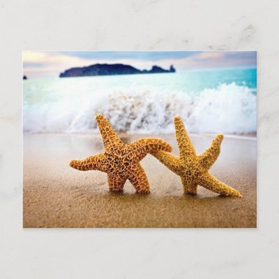 starfish couple postcard