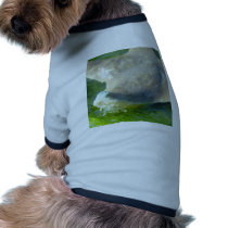 Starfish pet clothing