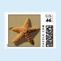 Starfish Event Theme Wedding Stamps by TDSwhite Starfish Event Theme Wedding Stamps