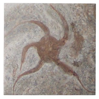 Starfish Fossil Tile Trivet