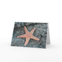 Starfish Greeting Card