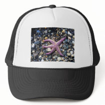 starfish hats